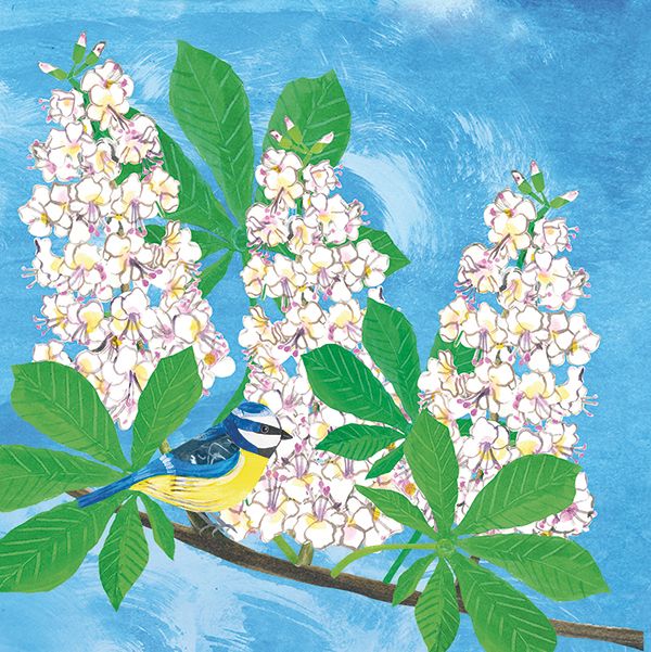 Trees: Horse Chestnut (Pop-Up)